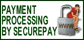 Image of Process Secure Payment